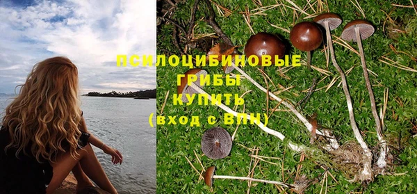 прущая мука Михайлов