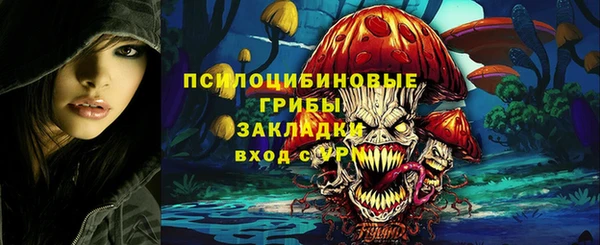 прущая мука Михайлов