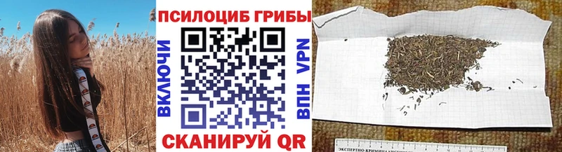 Галлюциногенные грибы мицелий  наркота  Новосибирск 
