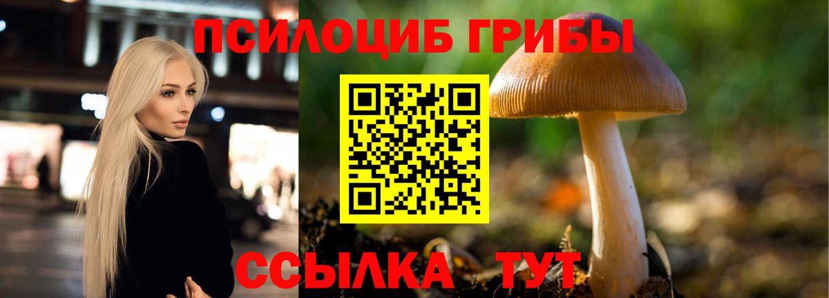 закладка  Вход с VPN  Новосибирск  Галлюциногенные грибы мухоморы 